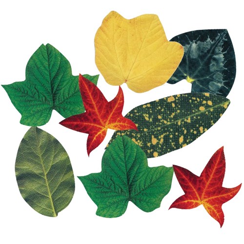 Crafty Leaves - Pack of 266