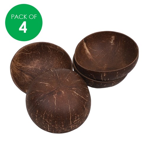 Coconut Shell Bowls - Pack of 4